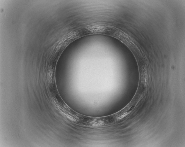 X0000059060604200510171941