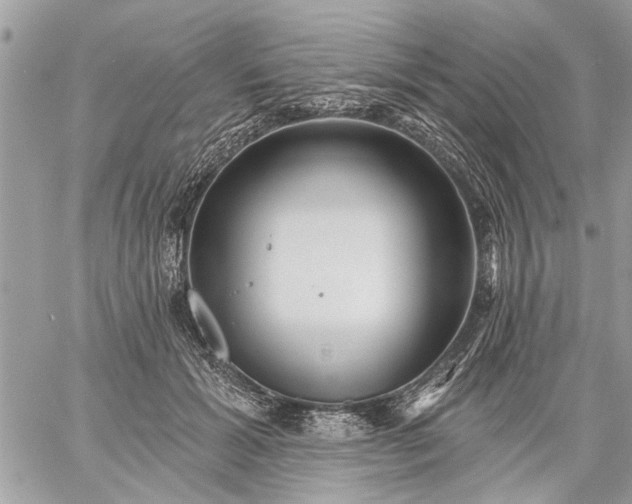 X0000059060605200510171941