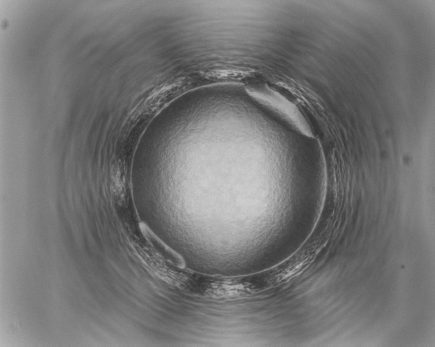 X0000059060607200510171941