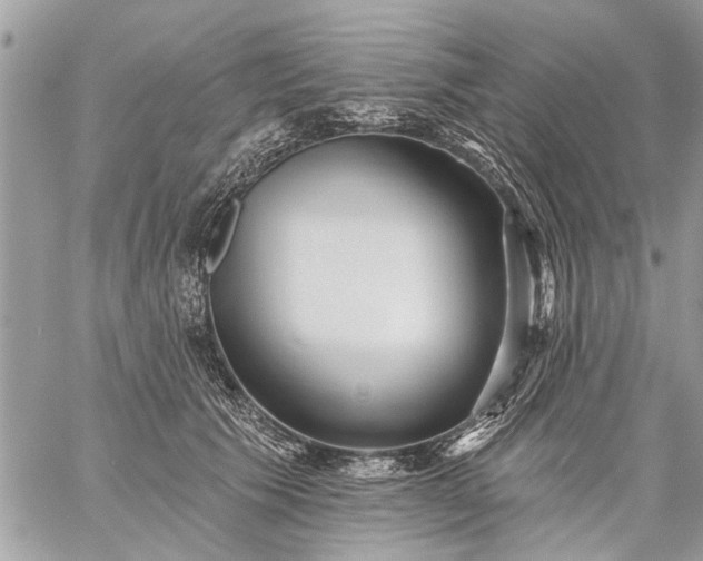 X0000059060609200510171941