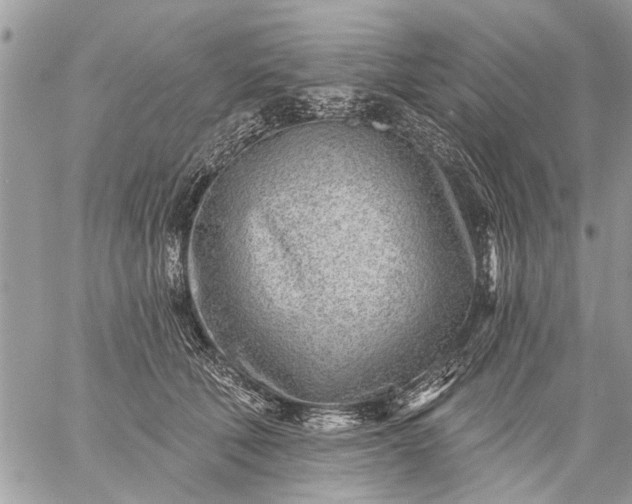 X0000059060610200510171941