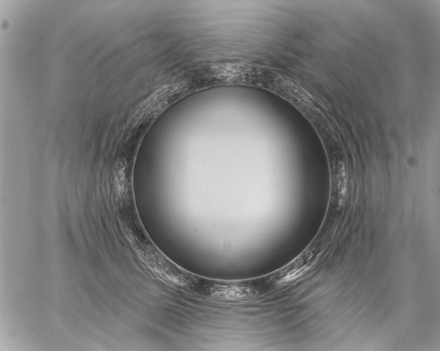 X0000059060611200510171941