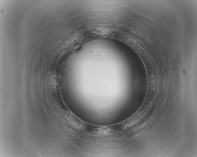 X0000059060612200510171941