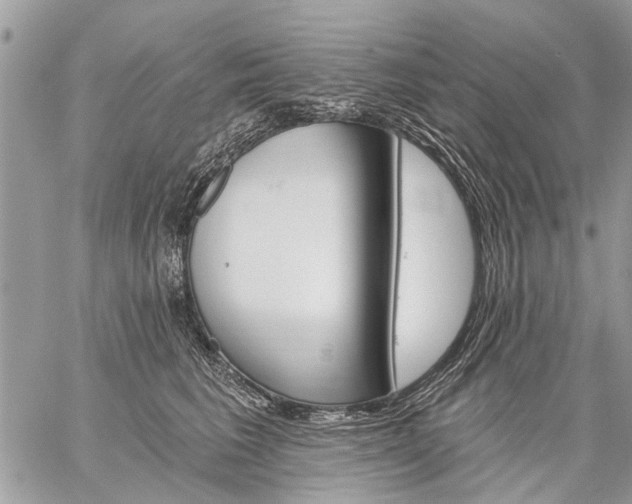 X0000059060613200510171941