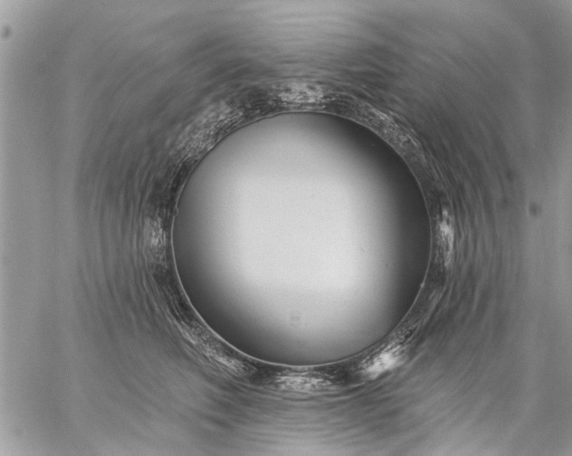 X0000059060614200510171941