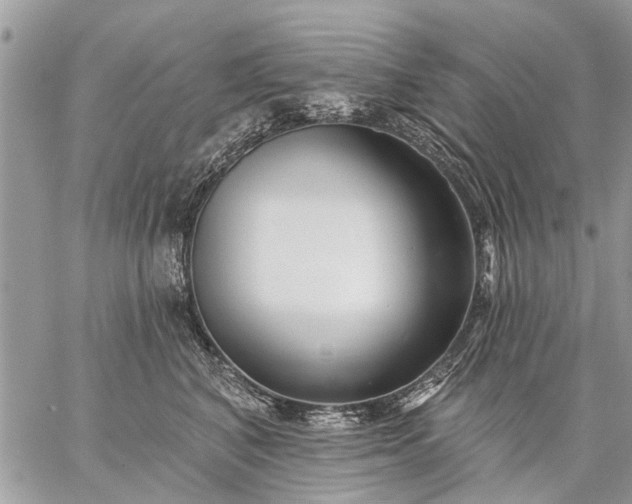 X0000059060616200510171941