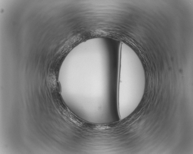 X0000059060617200510171941