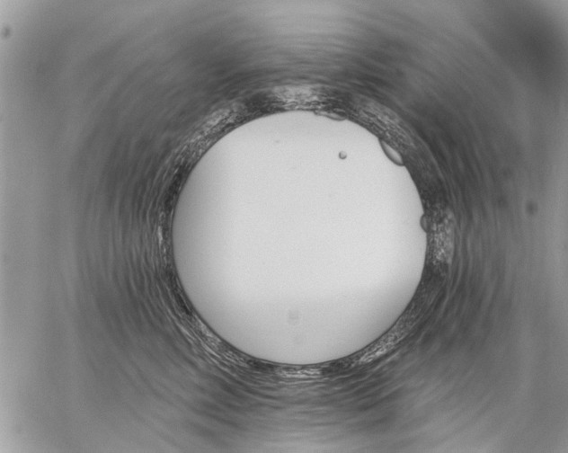 X0000059060618200510171941