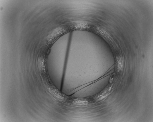 X0000059060619200510171941