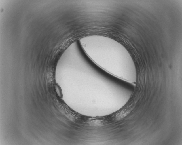 X0000059060620200510171941