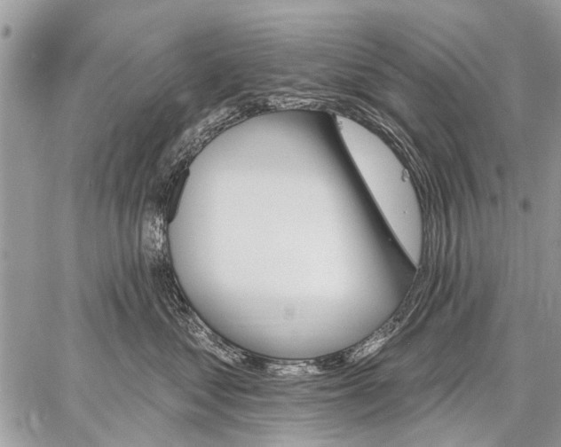 X0000059060621200510171941