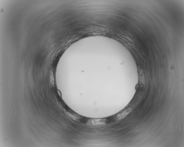 X0000059060622200510171941