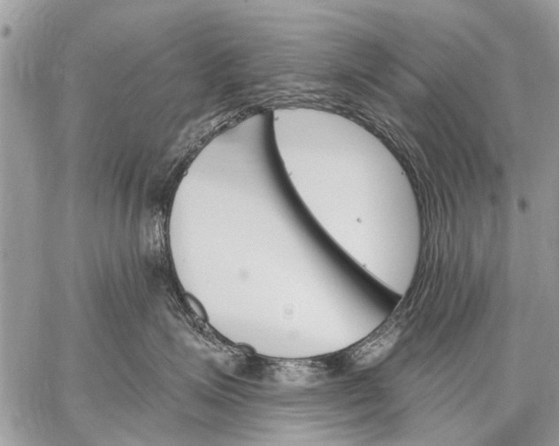 X0000059060623200510171941