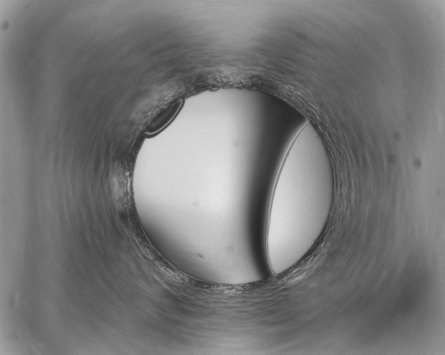 X0000059060624200510171941