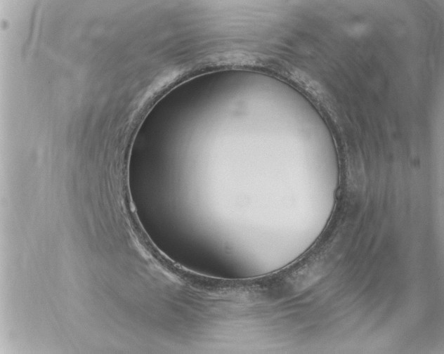 X0000059060625200510171940