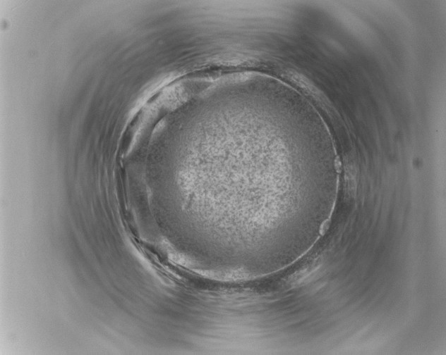 X0000059060626200510171940