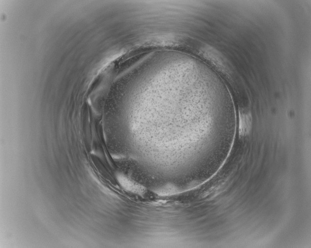 X0000059060627200510171940