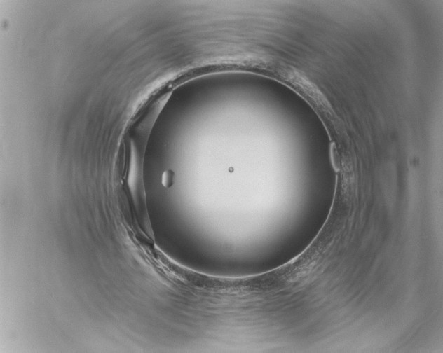 X0000059060628200510171940