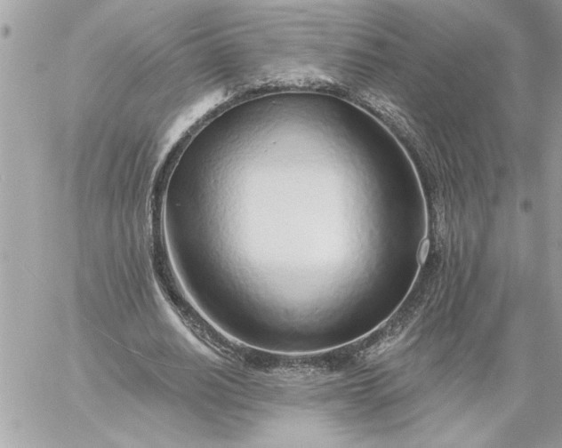 X0000059060630200510171940