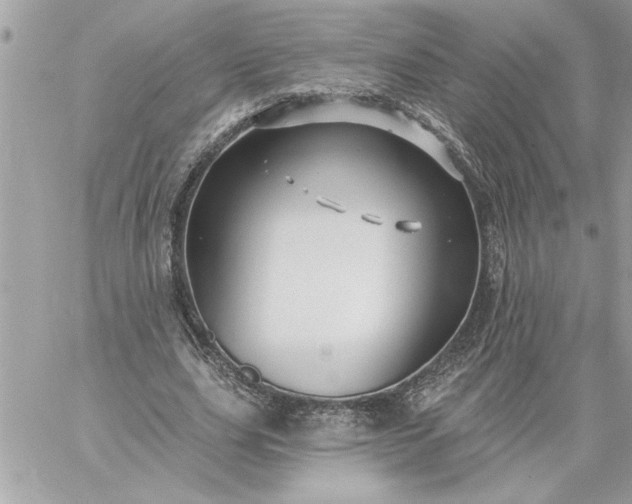 X0000059060631200510171940