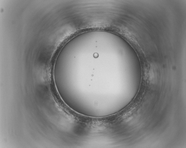 X0000059060632200510171940