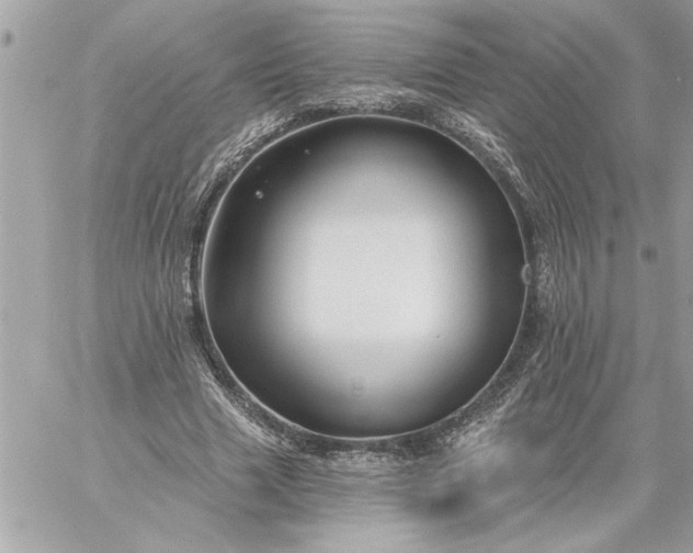 X0000059060633200510171940