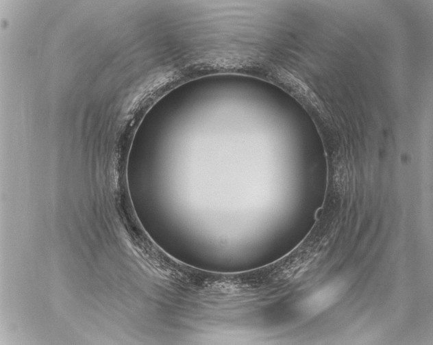 X0000059060635200510171940