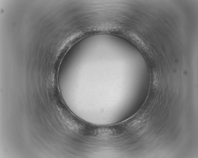 X0000059060636200510171940