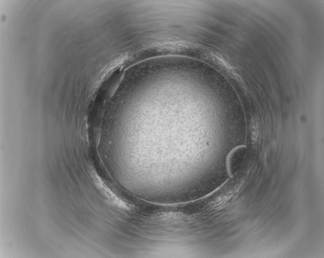 X0000059060637200510171940