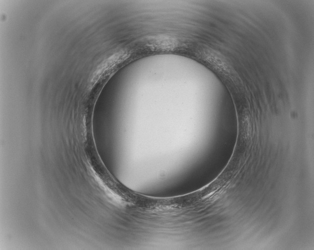 X0000059060638200510171940