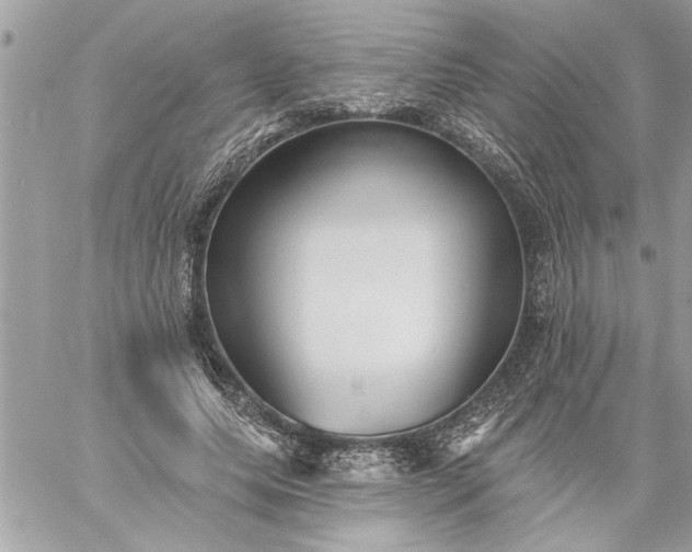 X0000059060639200510171940