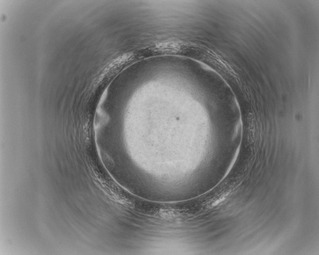 X0000059060641200510171940