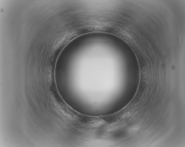 X0000059060642200510171940