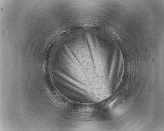 X0000059060643200510171940