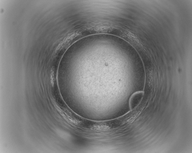 X0000059060644200510171940