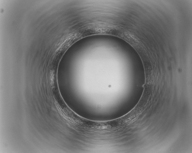 X0000059060646200510171940