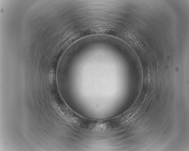 X0000059060647200510171940