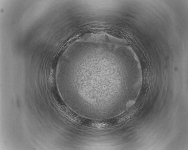 X0000059060650200510171940