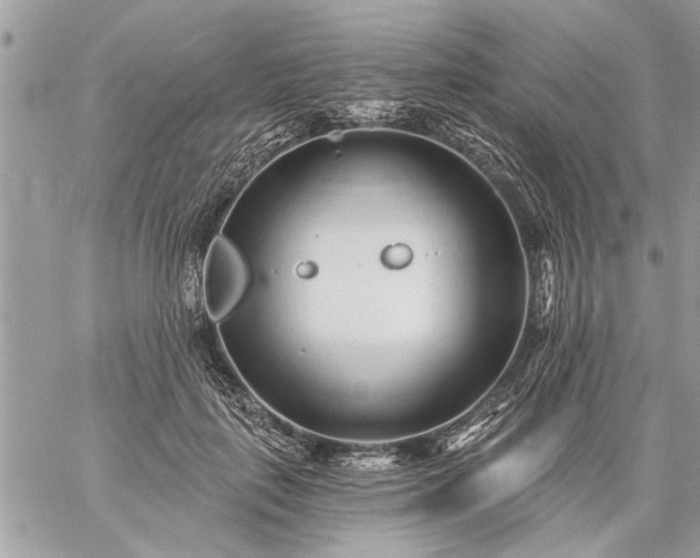 X0000059060651200510171940