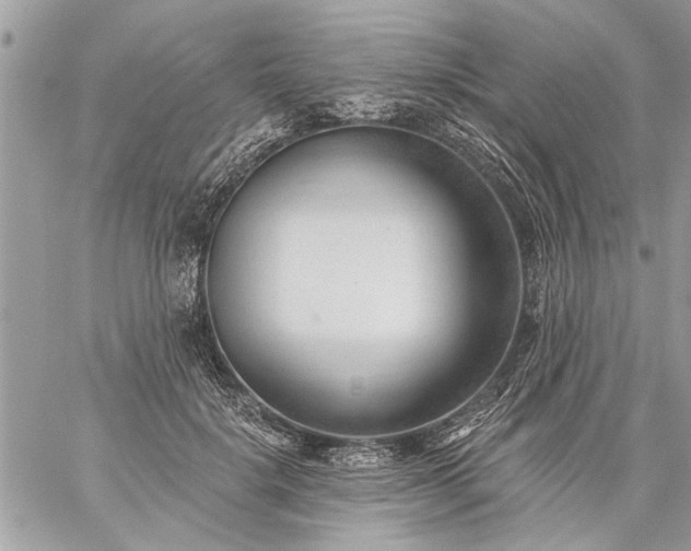 X0000059060652200510171940