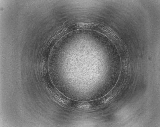 X0000059060653200510171940