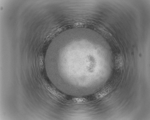 X0000059060654200510171940