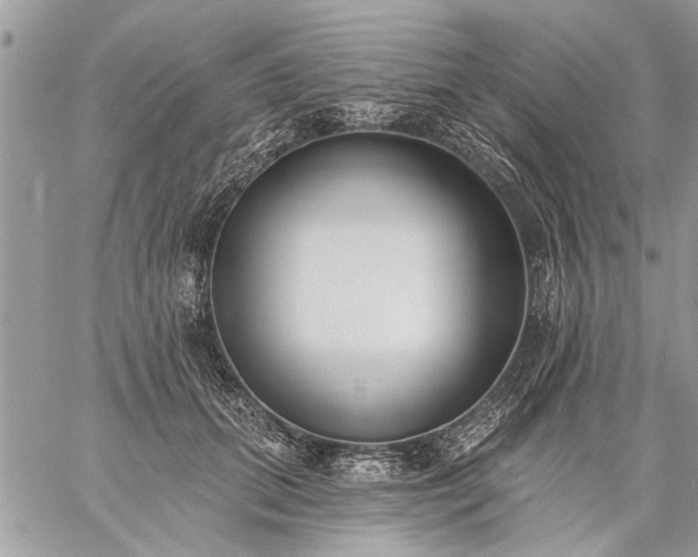 X0000059060655200510171940