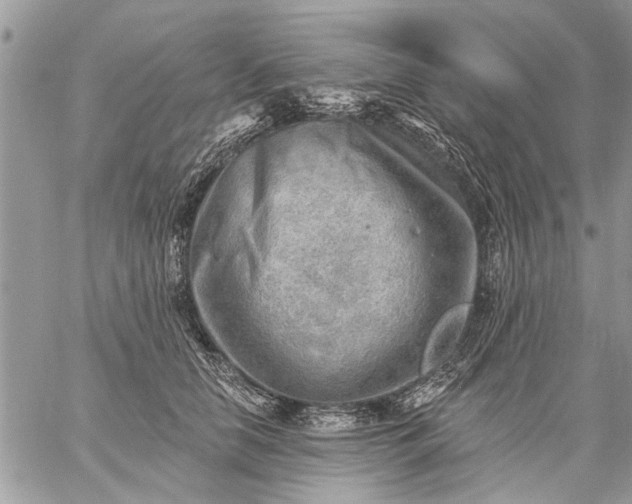 X0000059060658200510171941