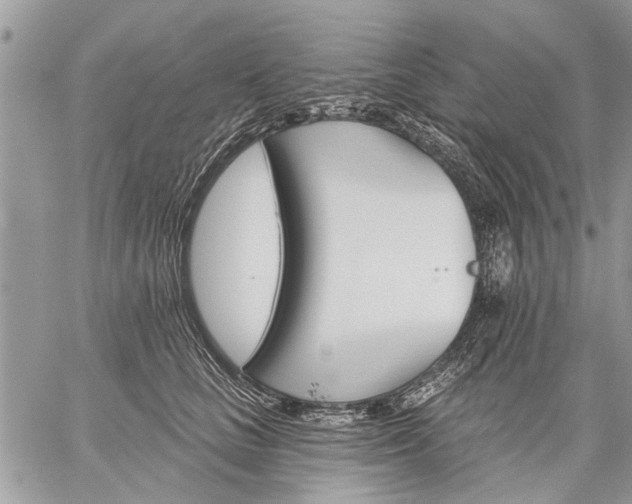 X0000059060661200510171941