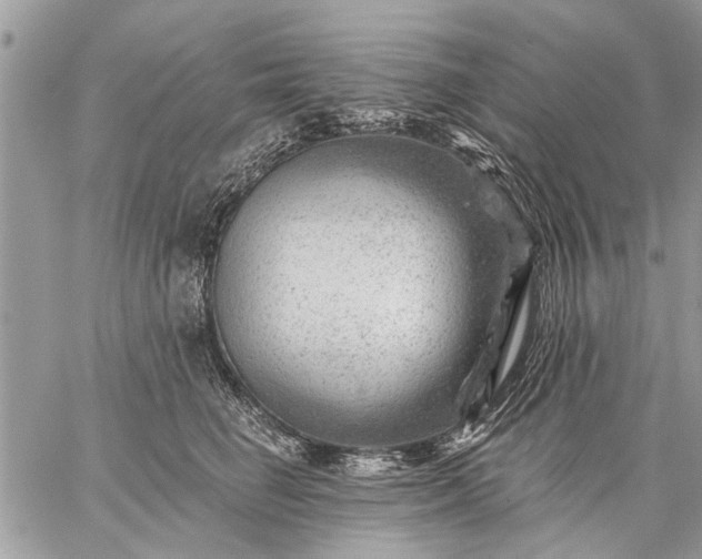 X0000059060662200510171941