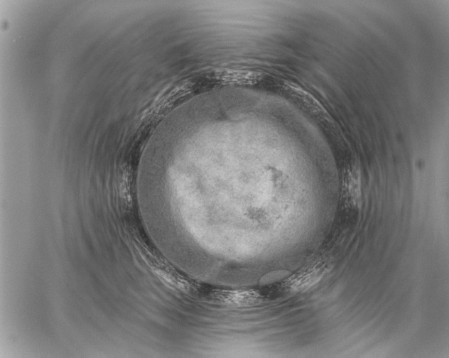 X0000059060663200510171941