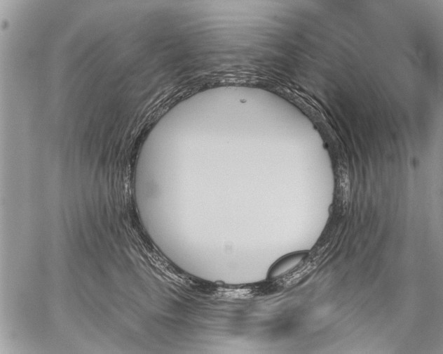 X0000059060665200510171941