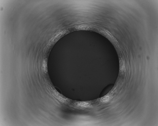 X0000059060669200510171941