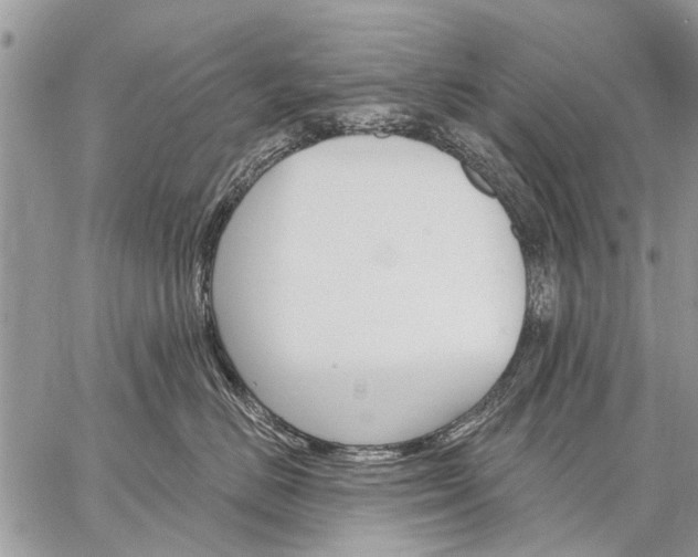 X0000059060670200510171941